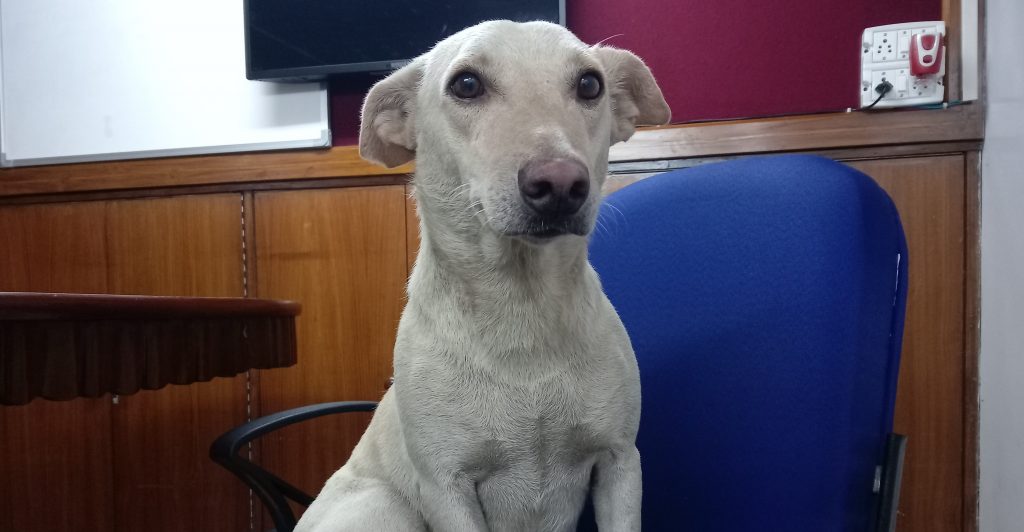 Bawna in our office